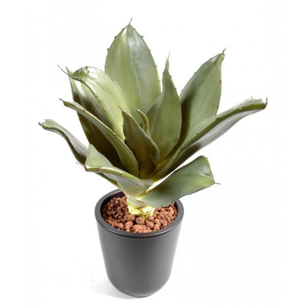 Agave – Plante artificielle