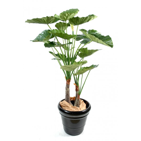 Alocasia Calidora 3 Troncs – Arbre artificiel