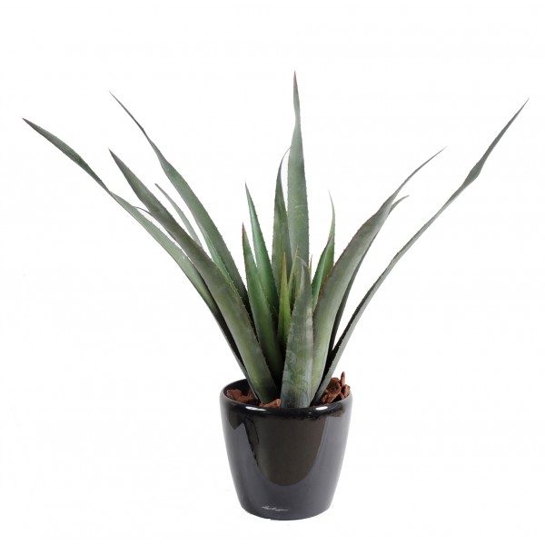 Aloe Ferox Plast – Plante artificielle