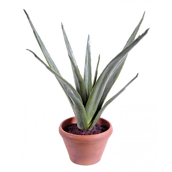 Aloe*12 Pot Terre – Plante artificielle