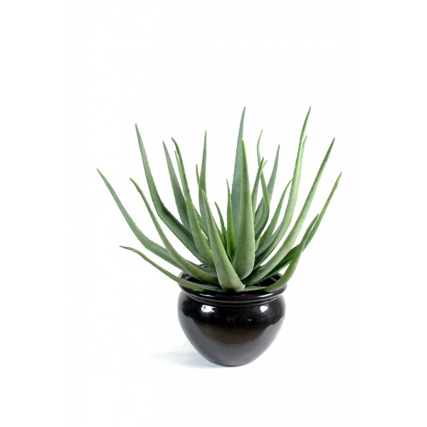 Aloevera – Plante artificielle
