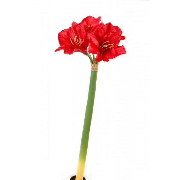 Amaryllis 3Fl 1Bt – Fleur artificielle en tige