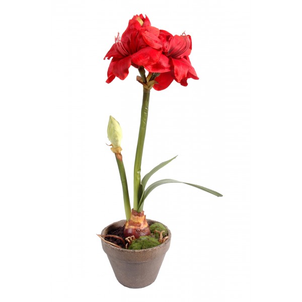 Amaryllis Pot Terre – Composition artificielle