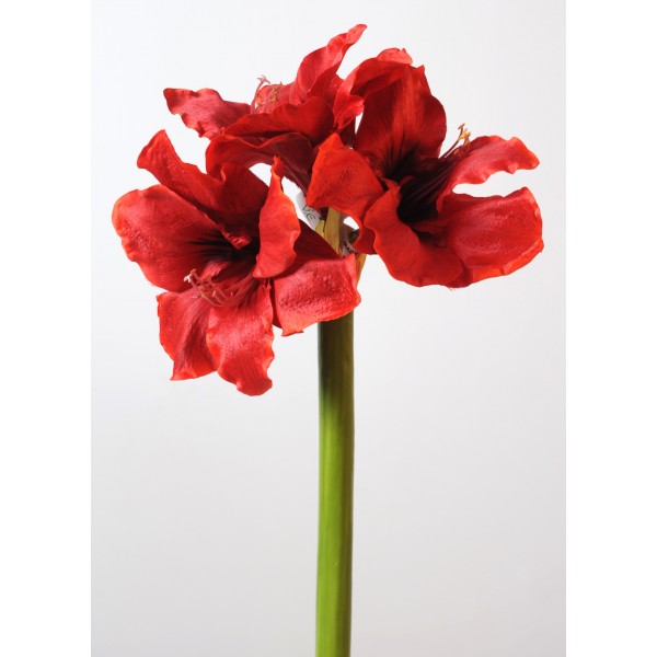 Amaryllis Tige 3F – Fleur artificielle en tige