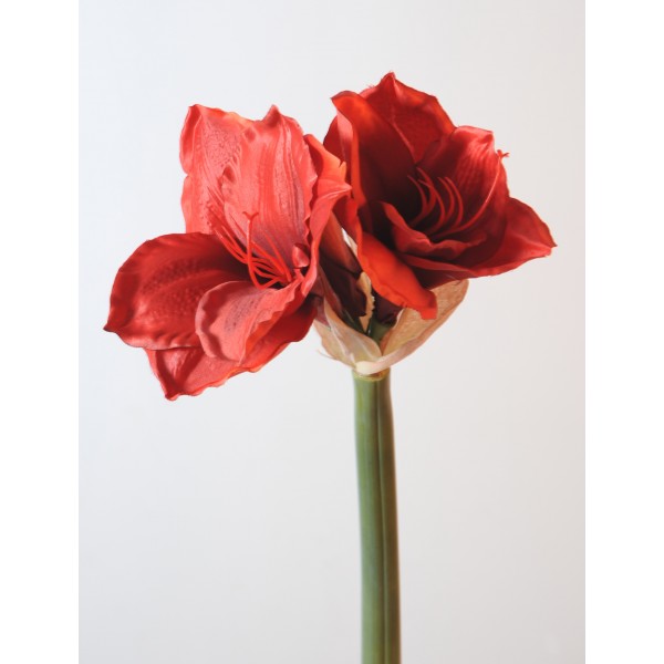 Amaryllis Tige – Fleur artificielle en tige