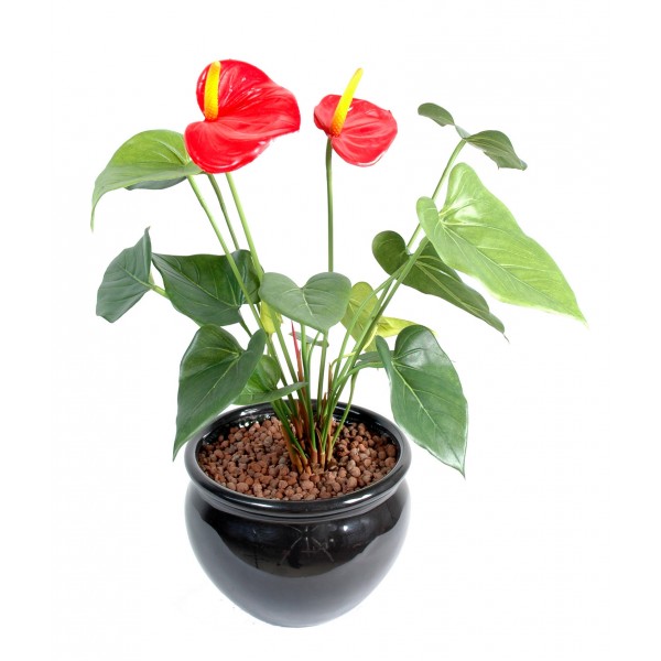 Anthurium 2Fl – Plante artificielle