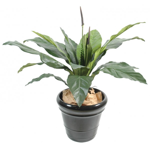 Anthurium Jungle King – Plante artificielle