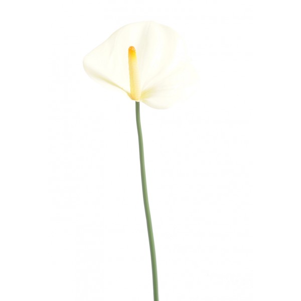 Anthurium Mini – Végétal artificiel
