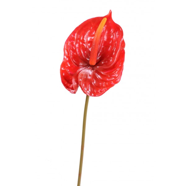 Anthurium Tige Grand – Fleur artificielle en tige