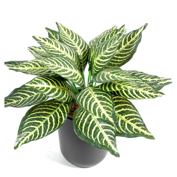 Aphelandra Mini*24 – Plante artificielle