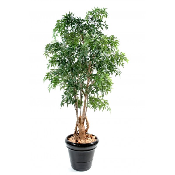 Aralia Ming Nitida Tr Noueux – Arbre artificiel