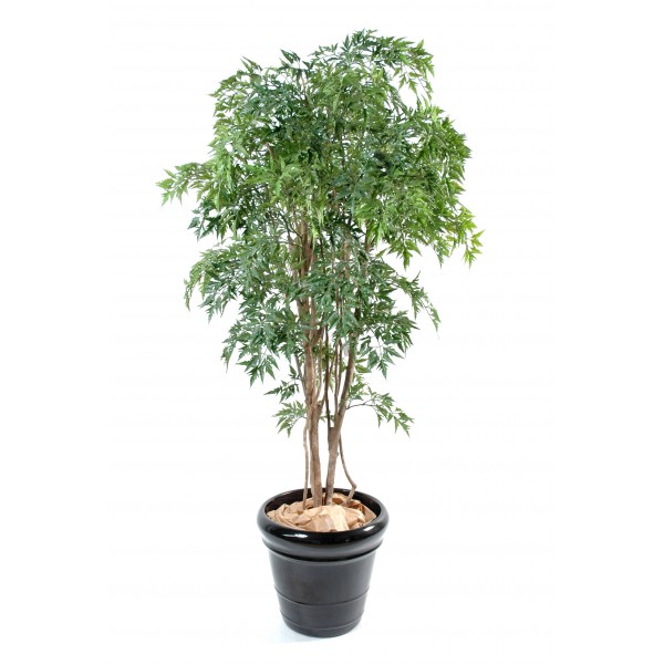 Aralia Ming Nitida – Arbre artificiel