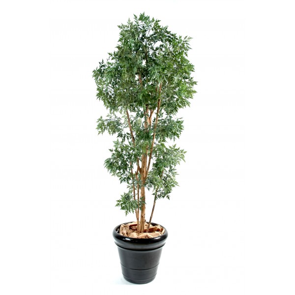 Aralia Ming – Arbre artificiel