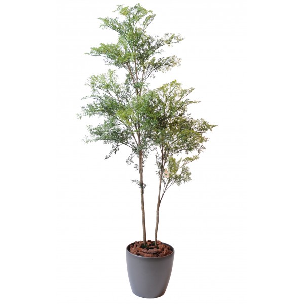 Aralia Ming*2 Plast – Arbre artificiel