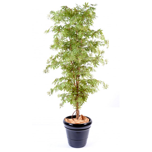 Aralia New – Arbre artificiel