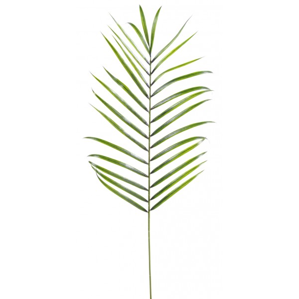 Areca Palm Plast – Végétal artificiel