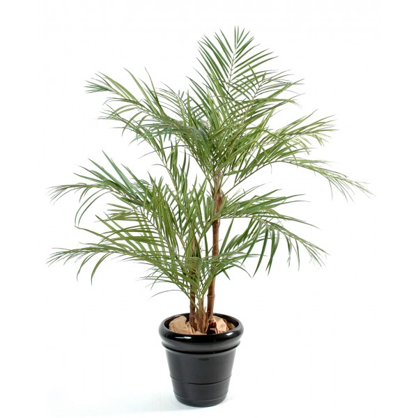 Areca Palm*3 – Arbre artificiel