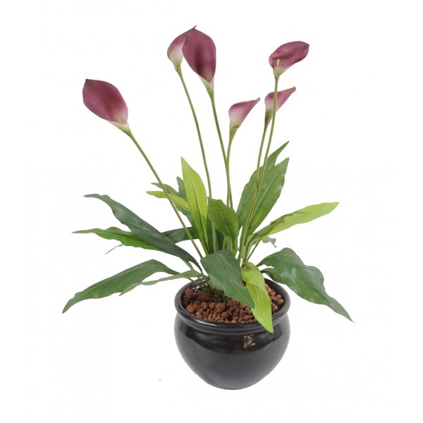 Arome*3 – Plante artificielle