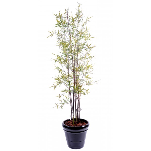 Bambou Lady Brown – Arbre artificiel