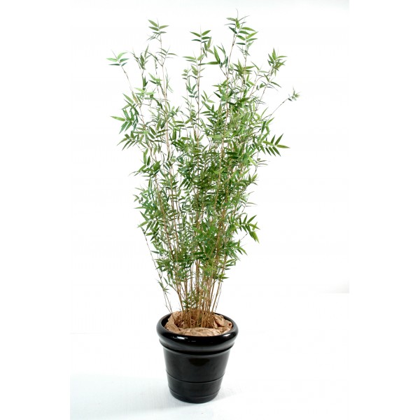 Bambou Multitree Oriental – Arbre artificiel