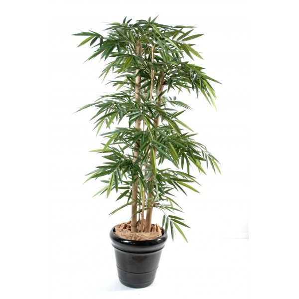 Bambou New Grosses Cannes – Arbre artificiel