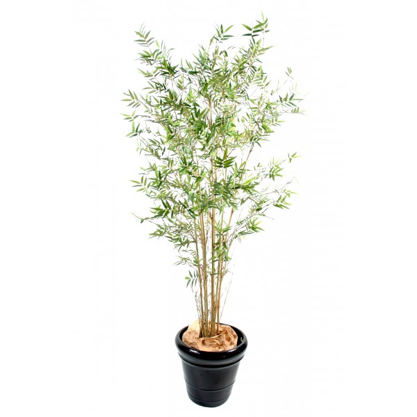 Bambou Oriental New – Arbre artificiel