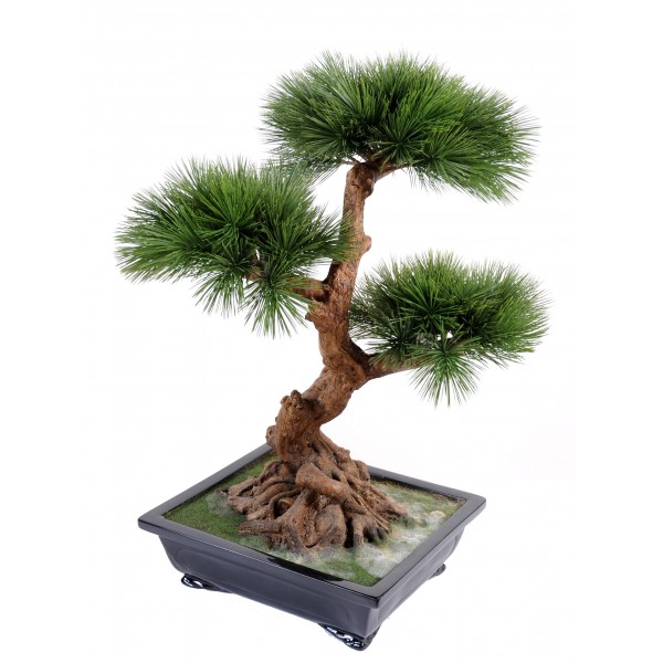 Bonsai Pin En Coupe – Arbre artificiel