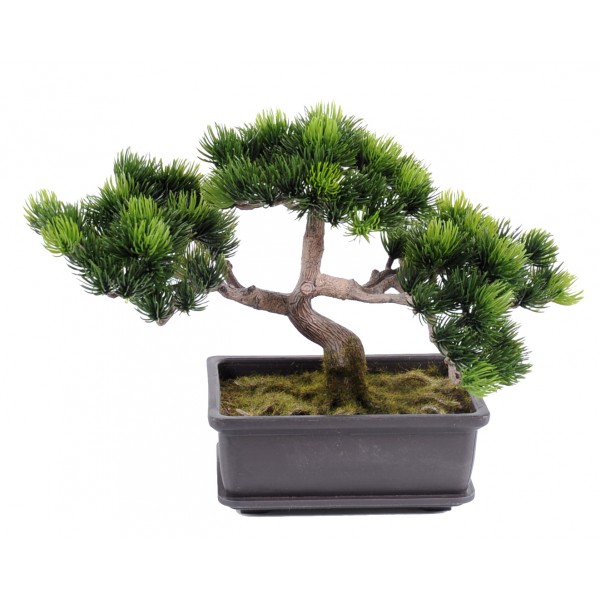 Bonsai Pin Mini  22 Cm – Végétal artificiel