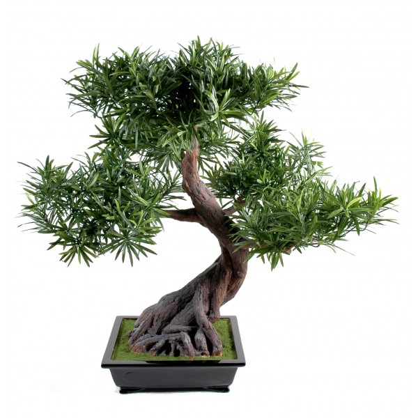 Bonsai Podocarpus En Coupe – Arbre artificiel