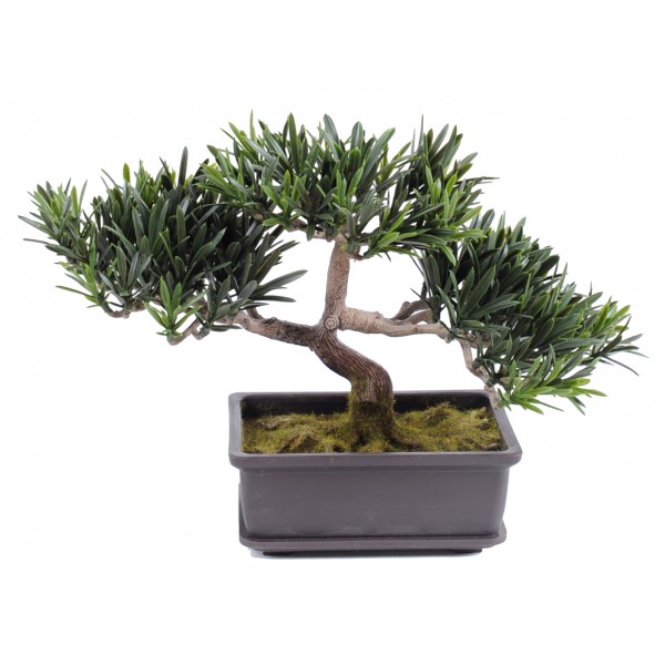 Bonsai Podocarpus Mini  22 Cm – Végétal artificiel