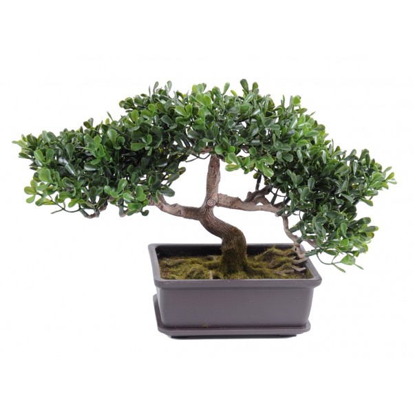 Bonsai Thé Mini  22 Cm – Végétal artificiel