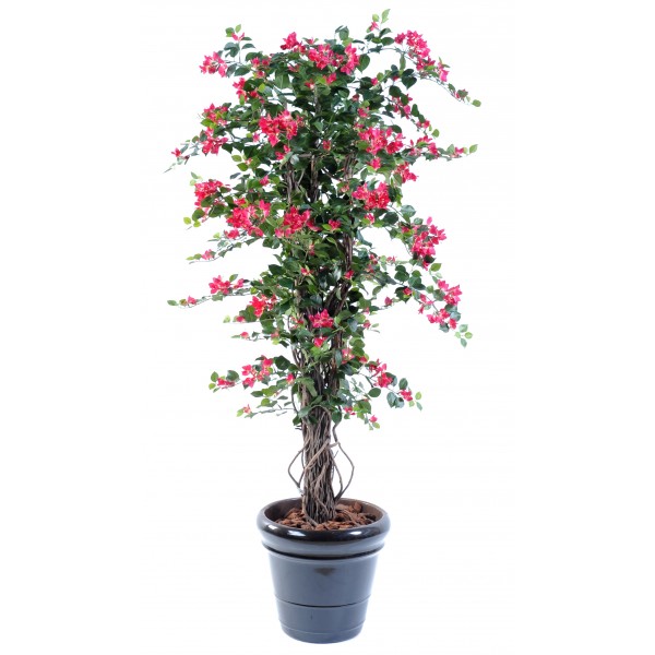 Bougainvillee New Lianes – Végétal artificiel