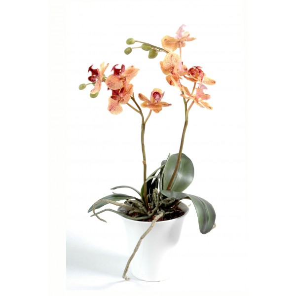 Bouquet Orchidees – Composition artificielle