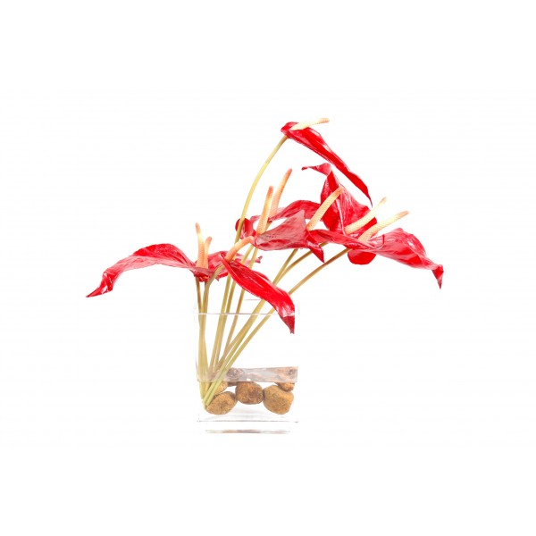 Bouquet Anthurium – Composition artificielle