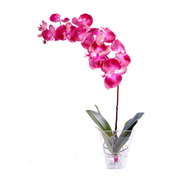 Bouquet Phalaenopsis Large – Composition artificielle