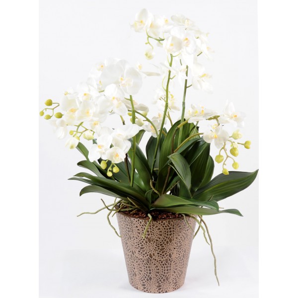 Bouquets Phalaenopsis L – Composition artificielle