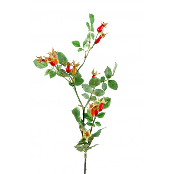 Branche Eglantier Fruit – Fleur artificielle en tige