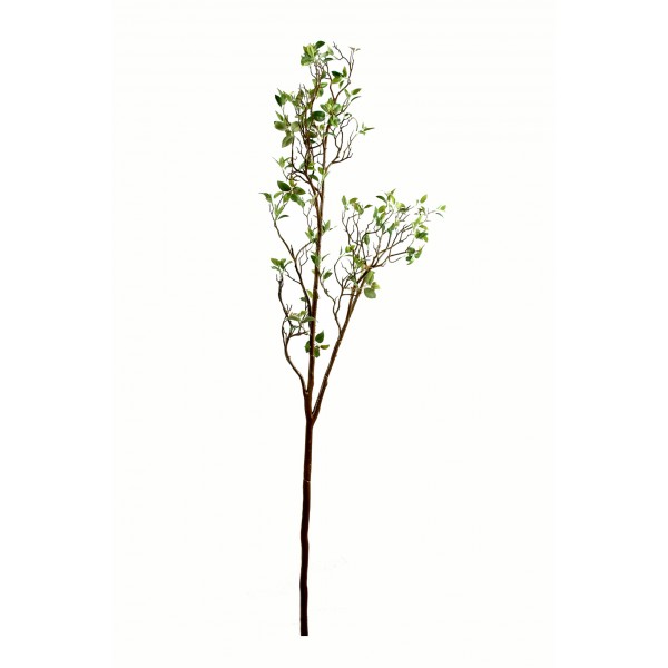 Branche Ficus Growth – Feuillage artificiel