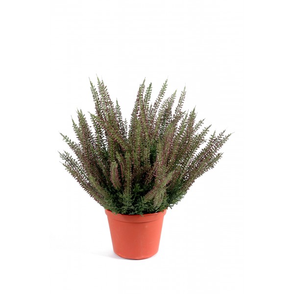 Bruyere Large En Pot – Plante artificielle