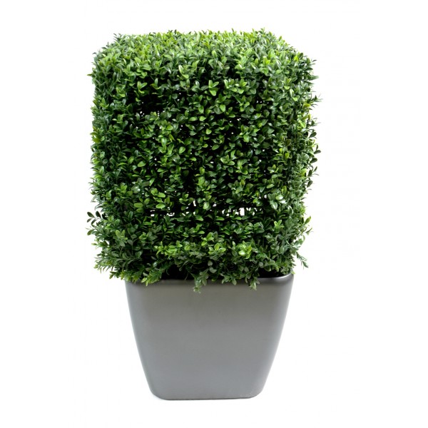 Buis Carre New – Arbre artificiel