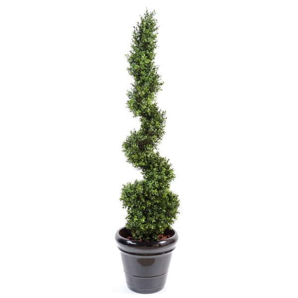 Buis New Spirale Fine – Arbre artificiel