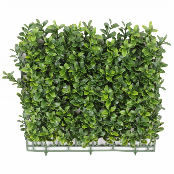 Buis Plaque New *140 – Plante artificielle