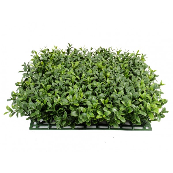 Buis Plaque New *300 – Plante artificielle