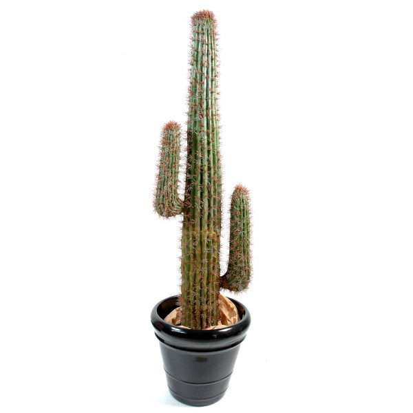 Cactus Mexico – Plante artificielle