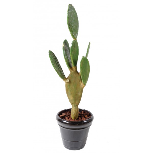 Cactus Plat – Plante artificielle