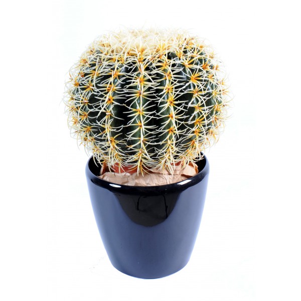 Cactus Rond – Plante artificielle