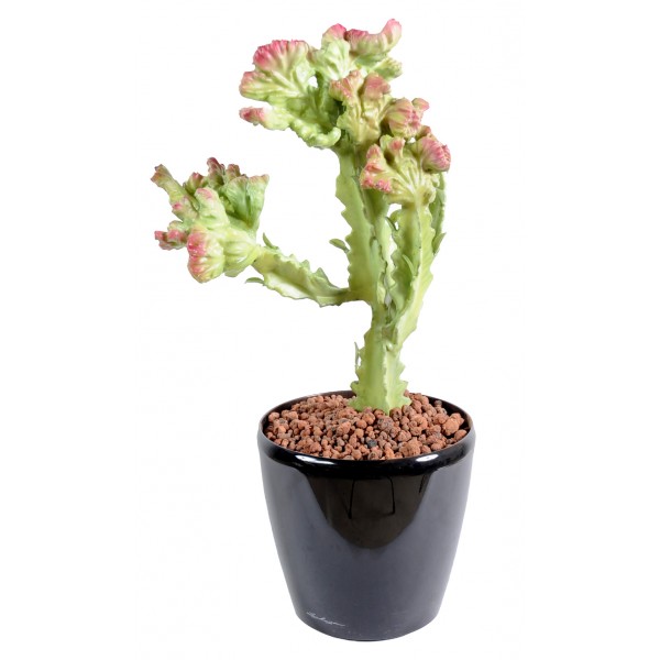 Cactus – Plante artificielle