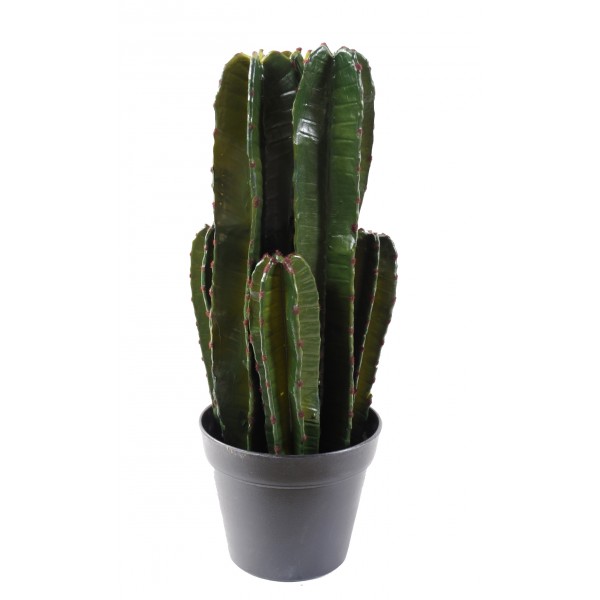 Cactus*6 – Plante artificielle