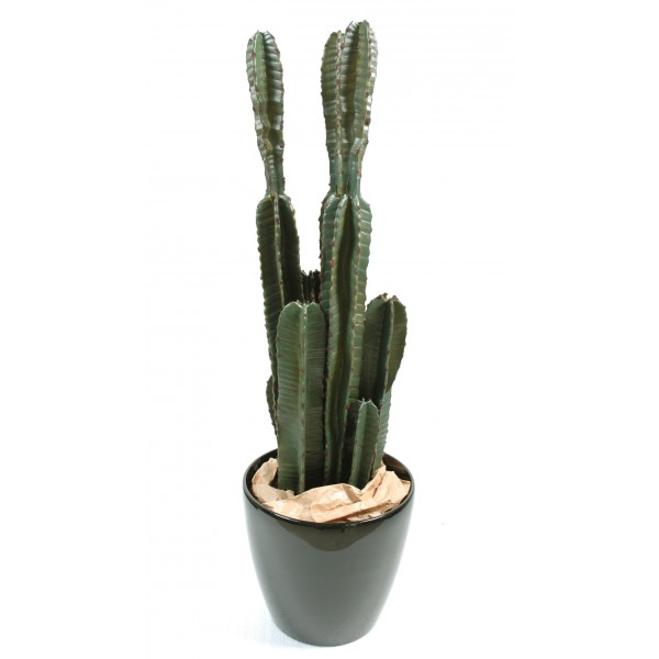 Cactus*9 – Plante artificielle