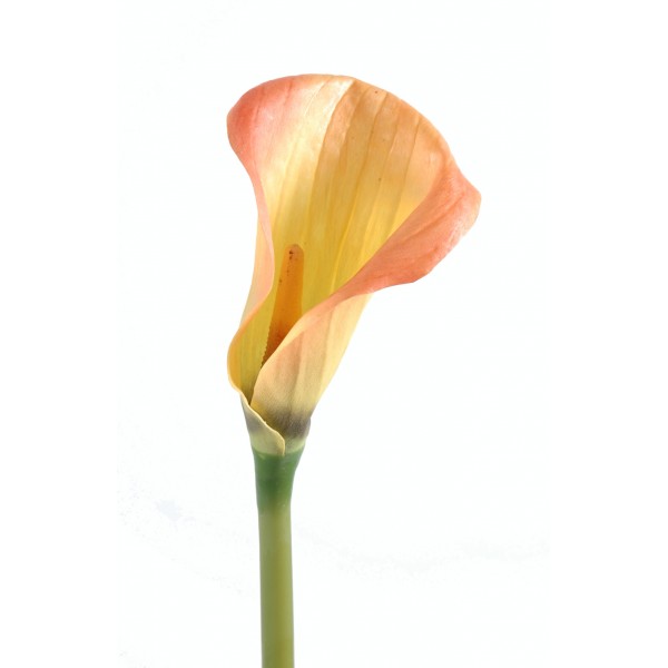 Calla Lily – Fleur artificielle en tige
